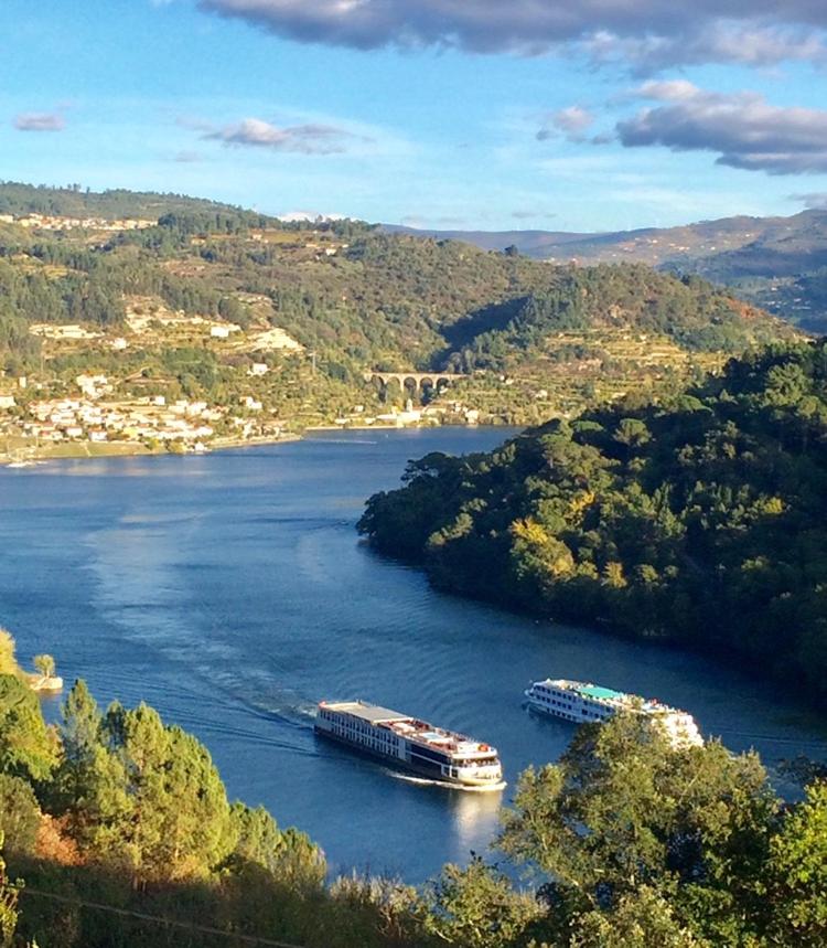 Descubra o Pedacinho de Mundo Douro: Um Refúgio de Conforto e Estilo - Imagem 34