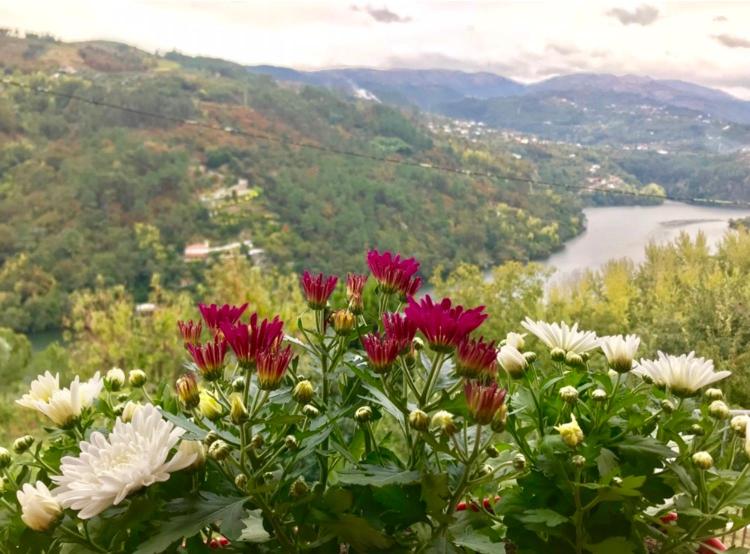 Descubra o Pedacinho de Mundo Douro: Um Refúgio de Conforto e Estilo - Imagem 36