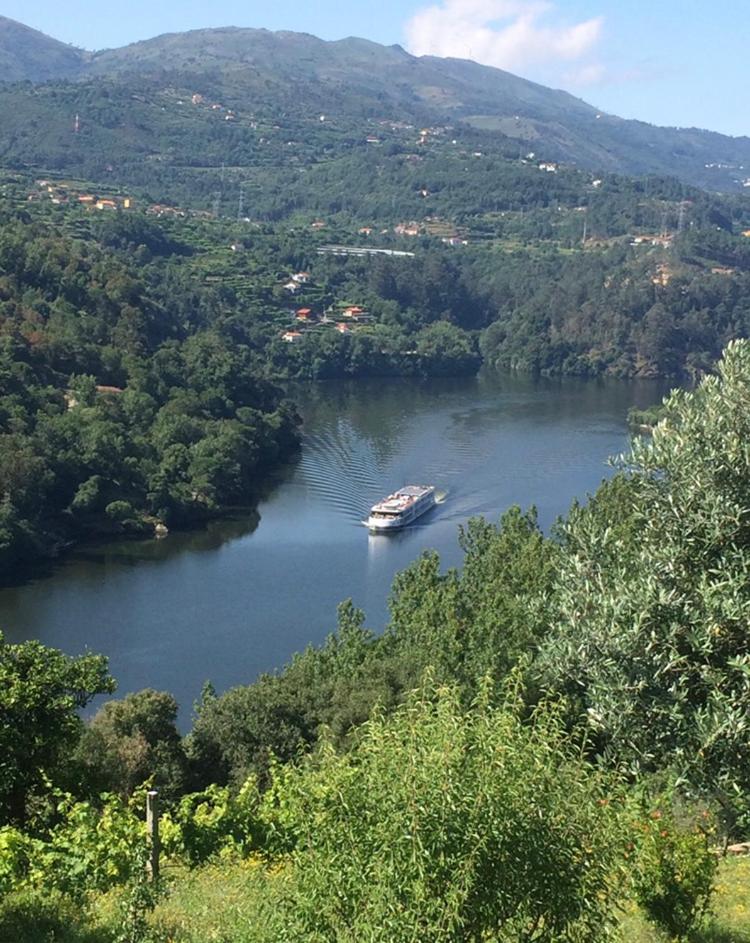 Descubra o Pedacinho de Mundo Douro: Um Refúgio de Conforto e Estilo - Imagem 37