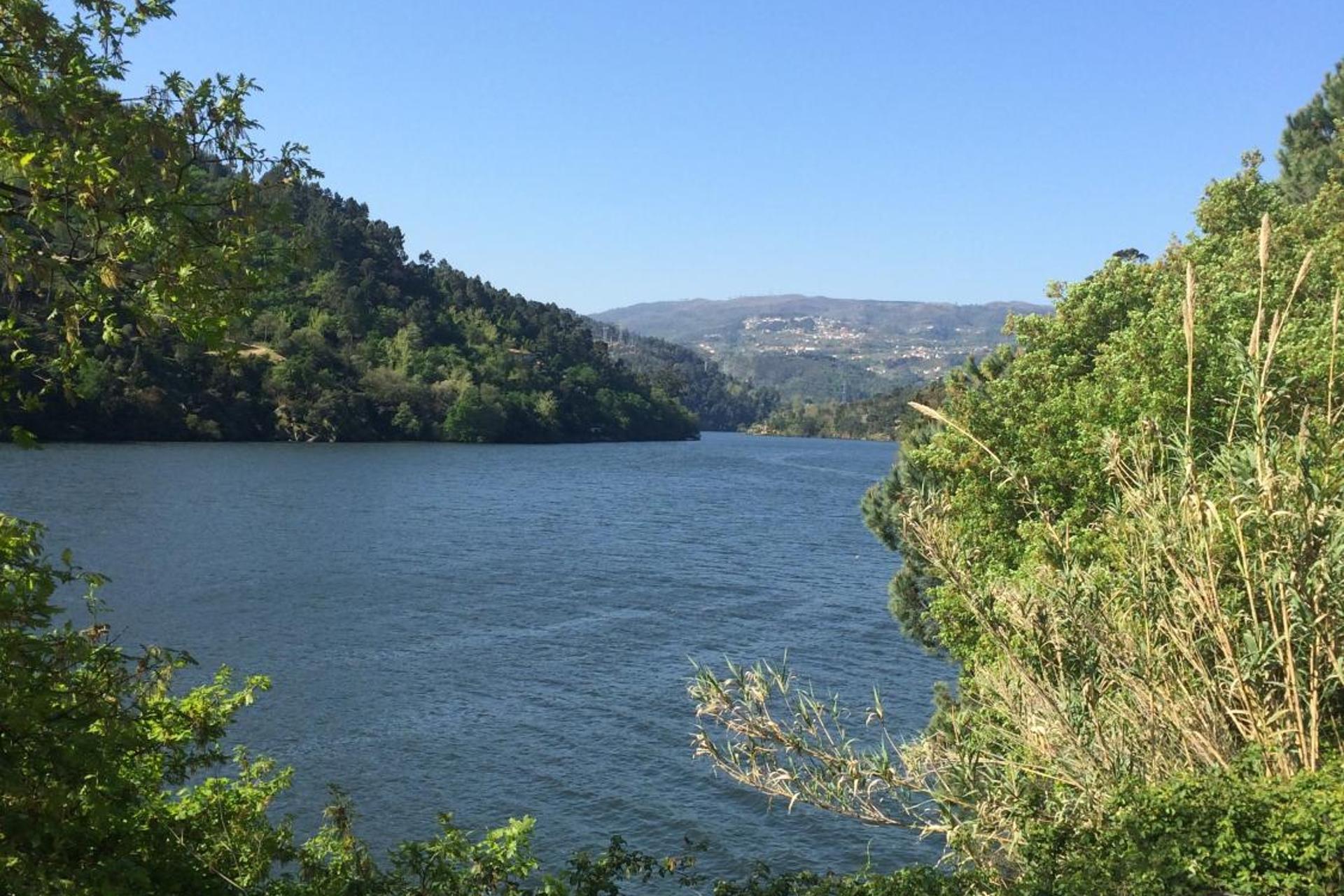 Descubra o Pedacinho de Mundo Douro: Um Refúgio de Conforto e Estilo - Imagem 50