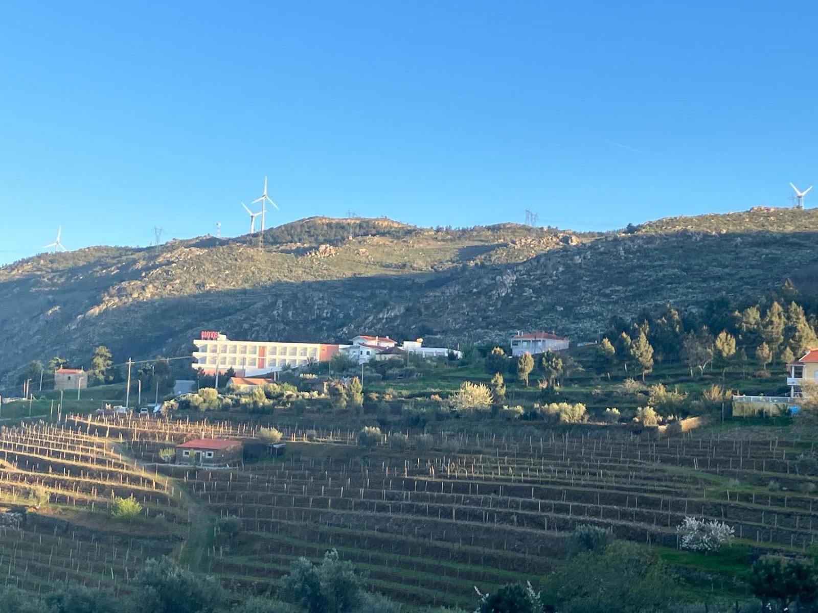Descubra o Placido Hotel Douro Tabuaco: Uma Joia da Hospitalidade no Coração do Douro - Imagem 66