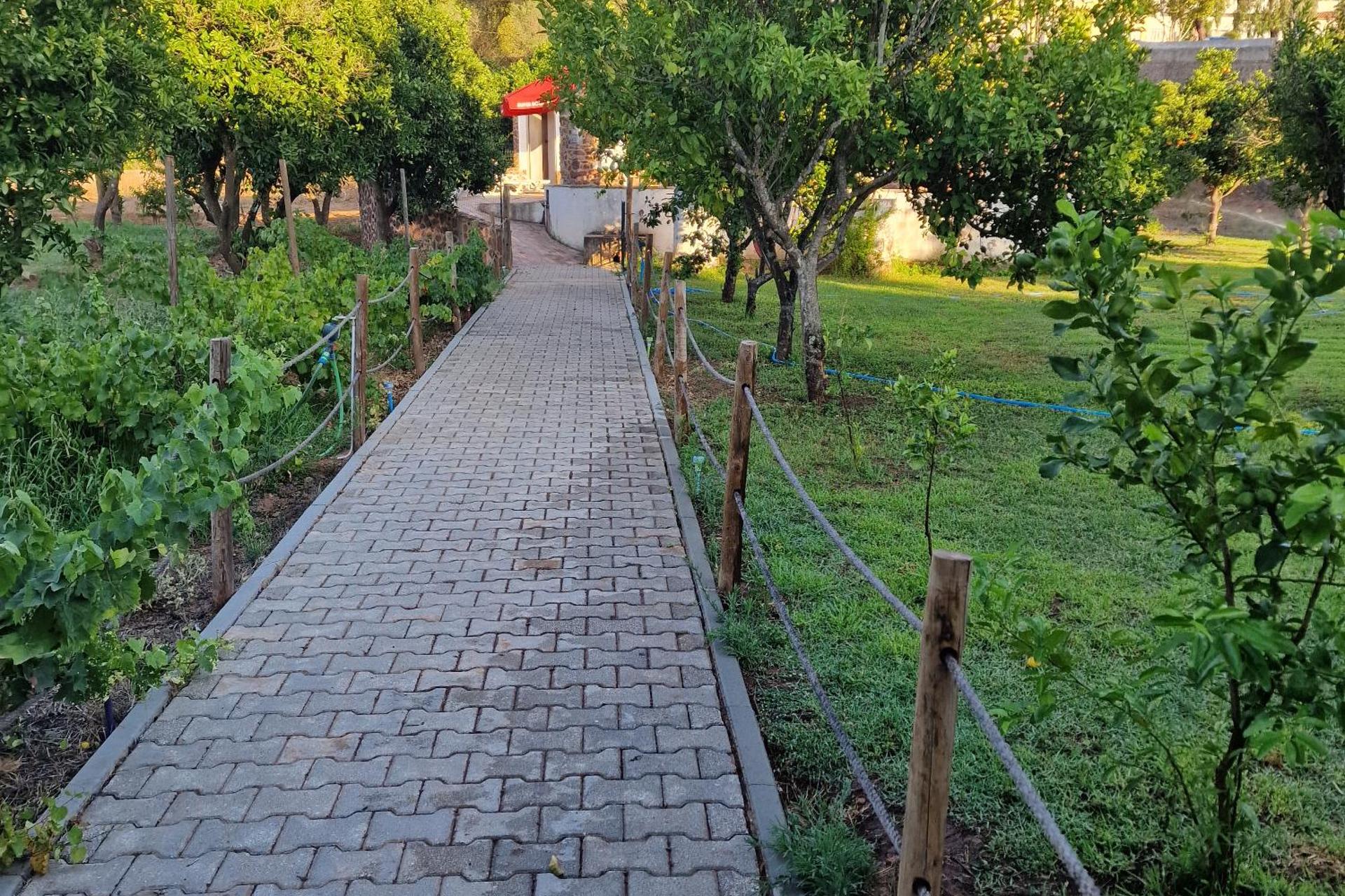 Ponte Romana - Image 18