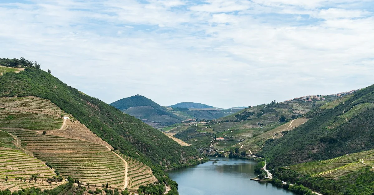 Quinta do Vallado: História, Visitas e Wine Hotel no Douro