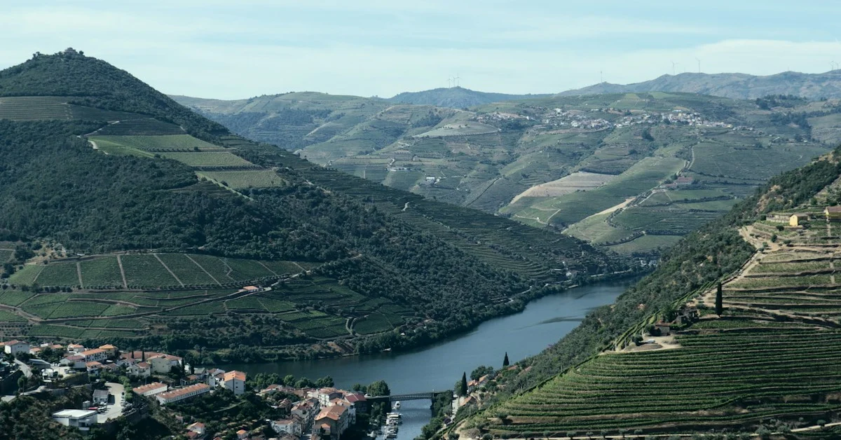 Quinta do Vallado: Enoturismo Biológico no Vale do Côa