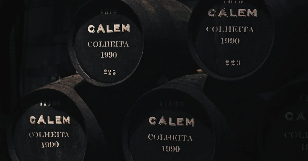 Enoturismo no Douro: Guia Completo para Principiantes