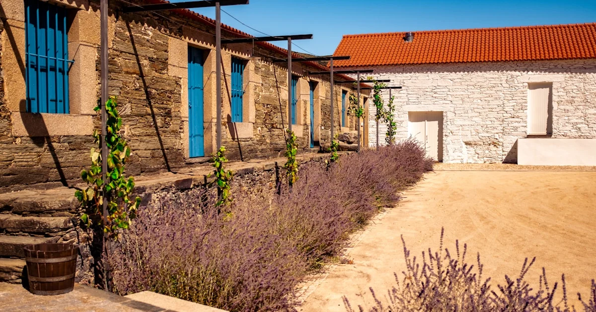 Quinta do Pégo: Hotel Rural 4 Estrelas com Vista Douro | Tabuaço