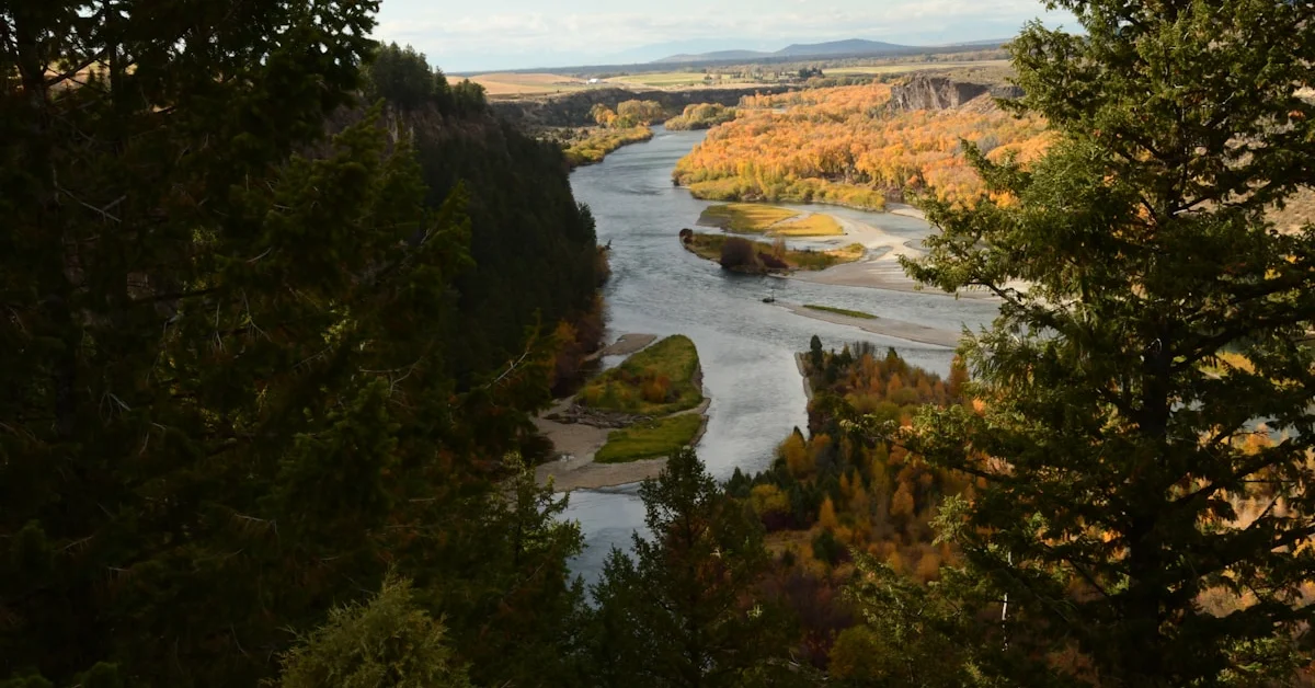 Miradouro de Casal de Loivos: A Vista Que a BBC Colocou no Mapa