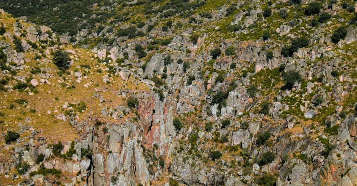 Estrada Nacional 222: A Rota Panorâmica Mais Bonita de Portugal