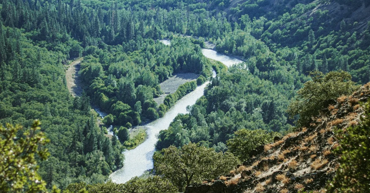 Miradouro do Penedo Durão: O Falcão do Douro Internacional