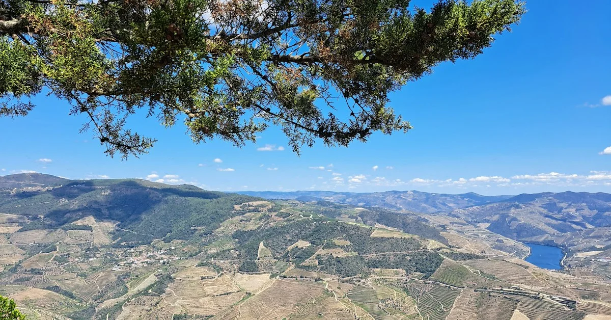 O Douro em Cada Estação: A Paisagem que Nunca É a Mesma