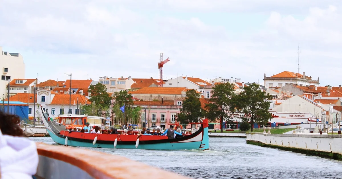Cruzeiros no Douro: Os Melhores Passeios de Barco em 2026
