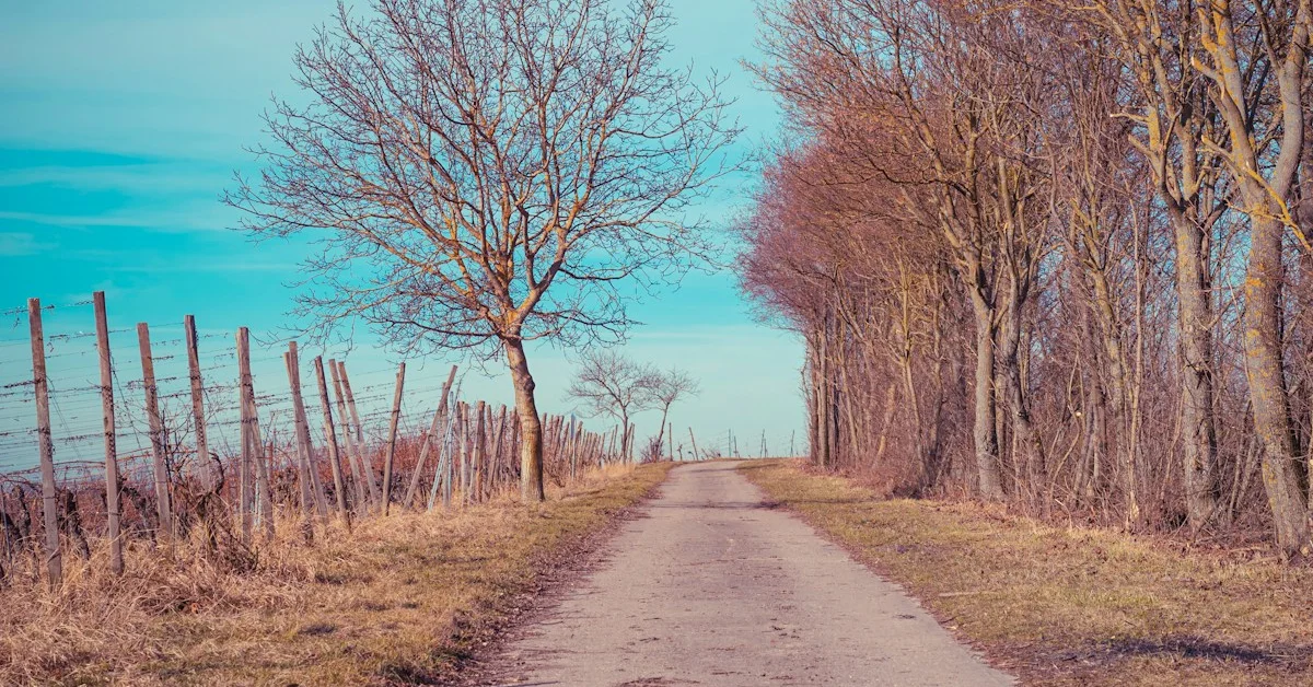 Caminhadas no Douro: Os Melhores Trilhos para Todos os Níveis