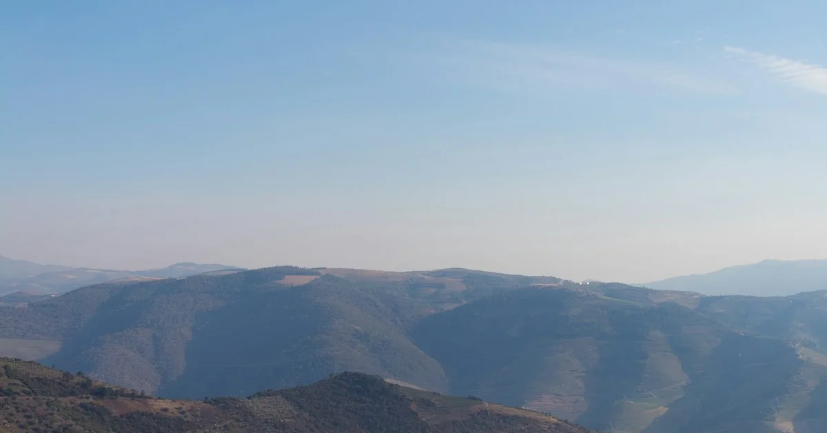 Piquenique nas Vinhas do Douro: A Experiência Mais Romântica da Região