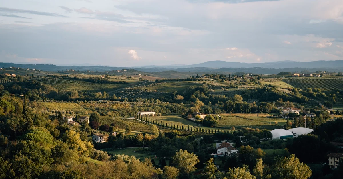 Hotéis Spa no Douro: Bem-Estar e Vinho em Harmonia