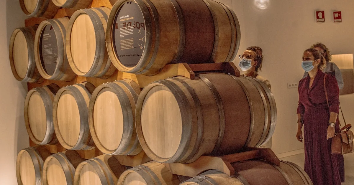Museu do Douro em Régua: O Melhor Museu de Vinho de Portugal