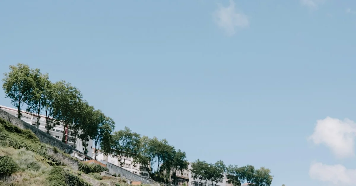 Como Chegar ao Vale do Douro: Guia Completo de Transportes