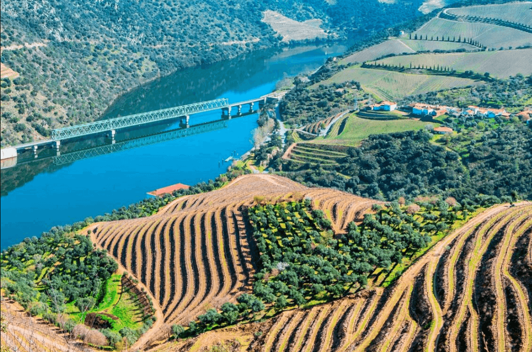 Miradouros Imperdíveis no Douro