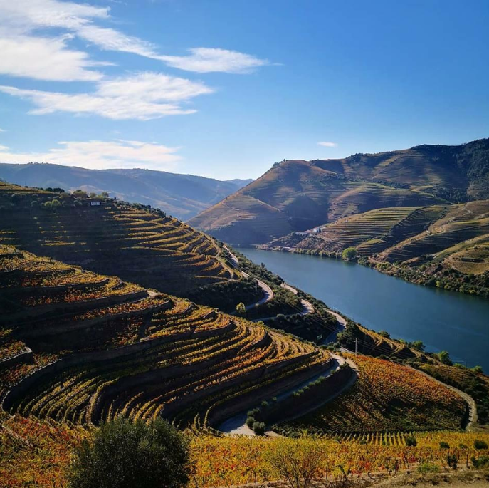 Vindimas no Douro: Uma Experiência Autêntica