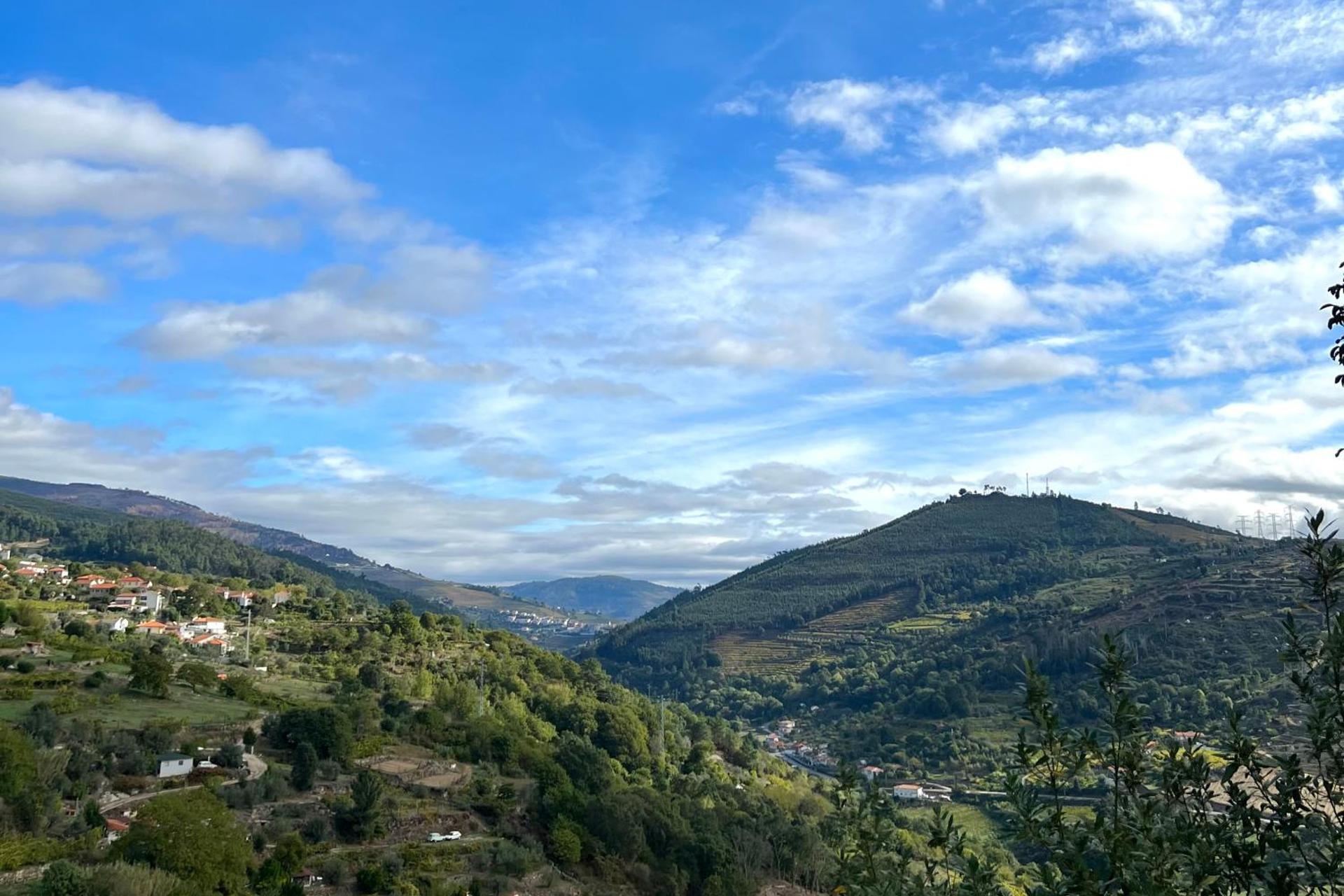 Descubra a Private Douro - Quinta das Susandas: O Refúgio Perfeito para Todos - Imagem 24