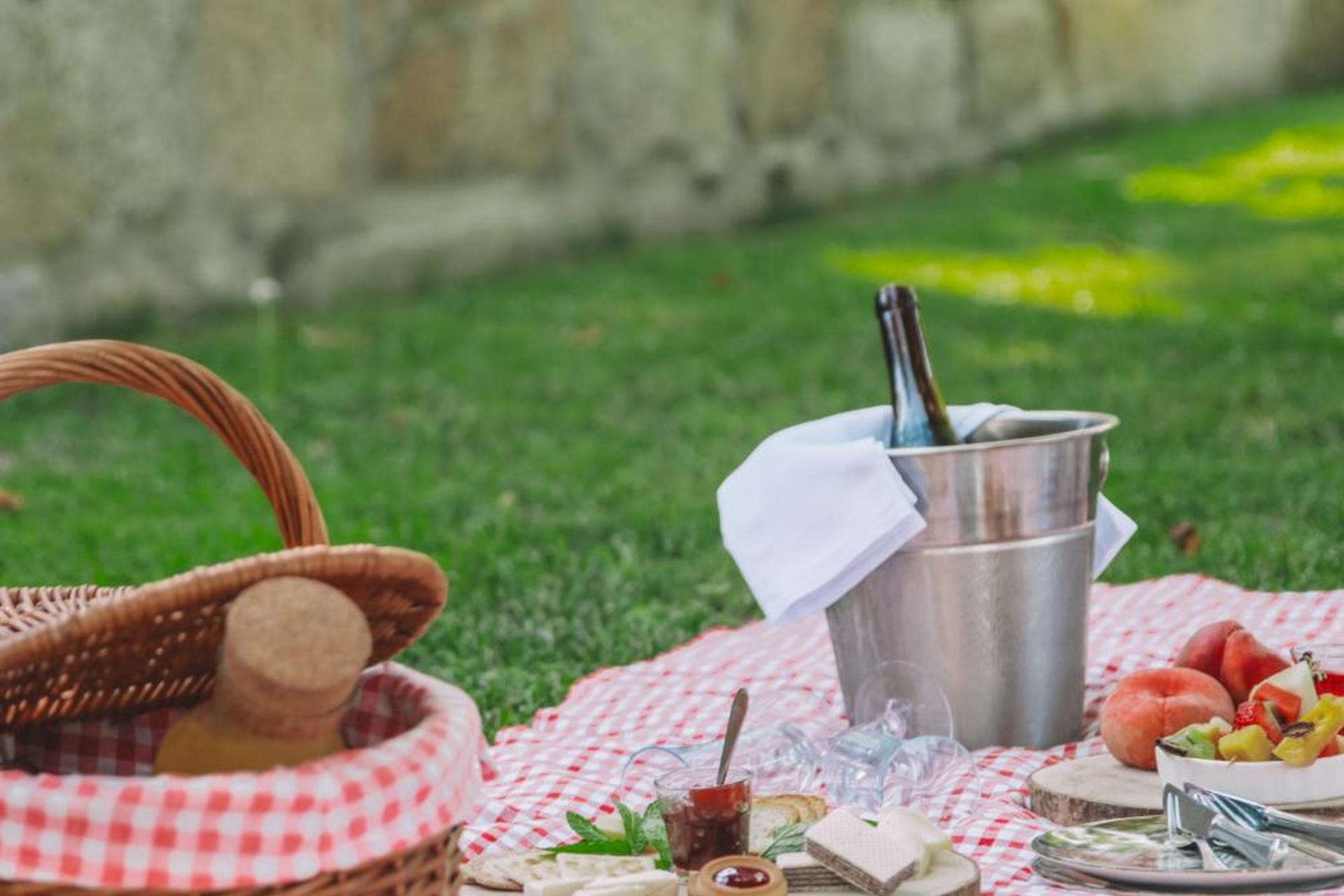 Descubra a Private Douro - Quinta das Susandas: O Refúgio Perfeito para Todos - Imagem 32