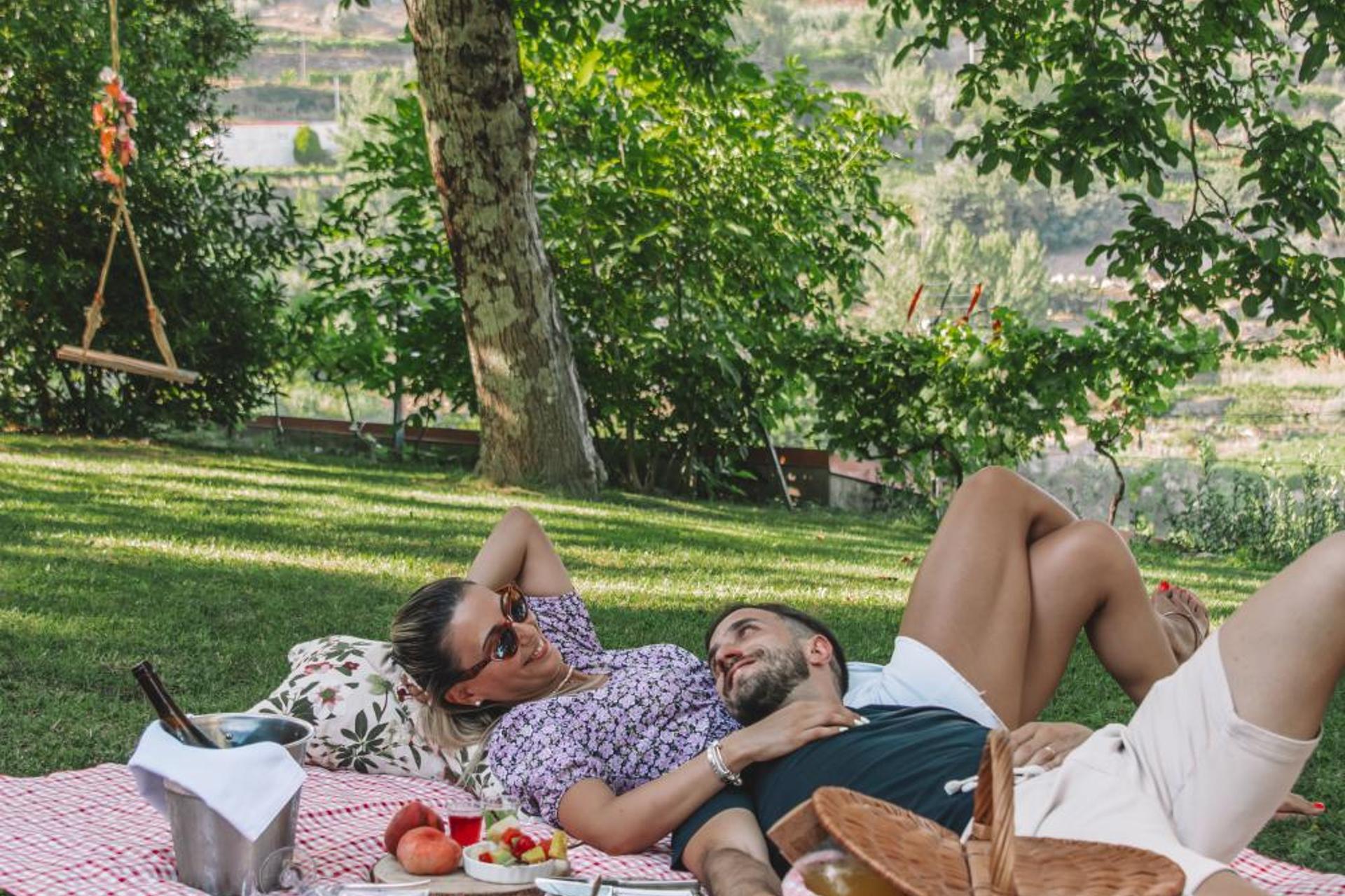 Descubra a Private Douro - Quinta das Susandas: O Refúgio Perfeito para Todos - Imagem 5