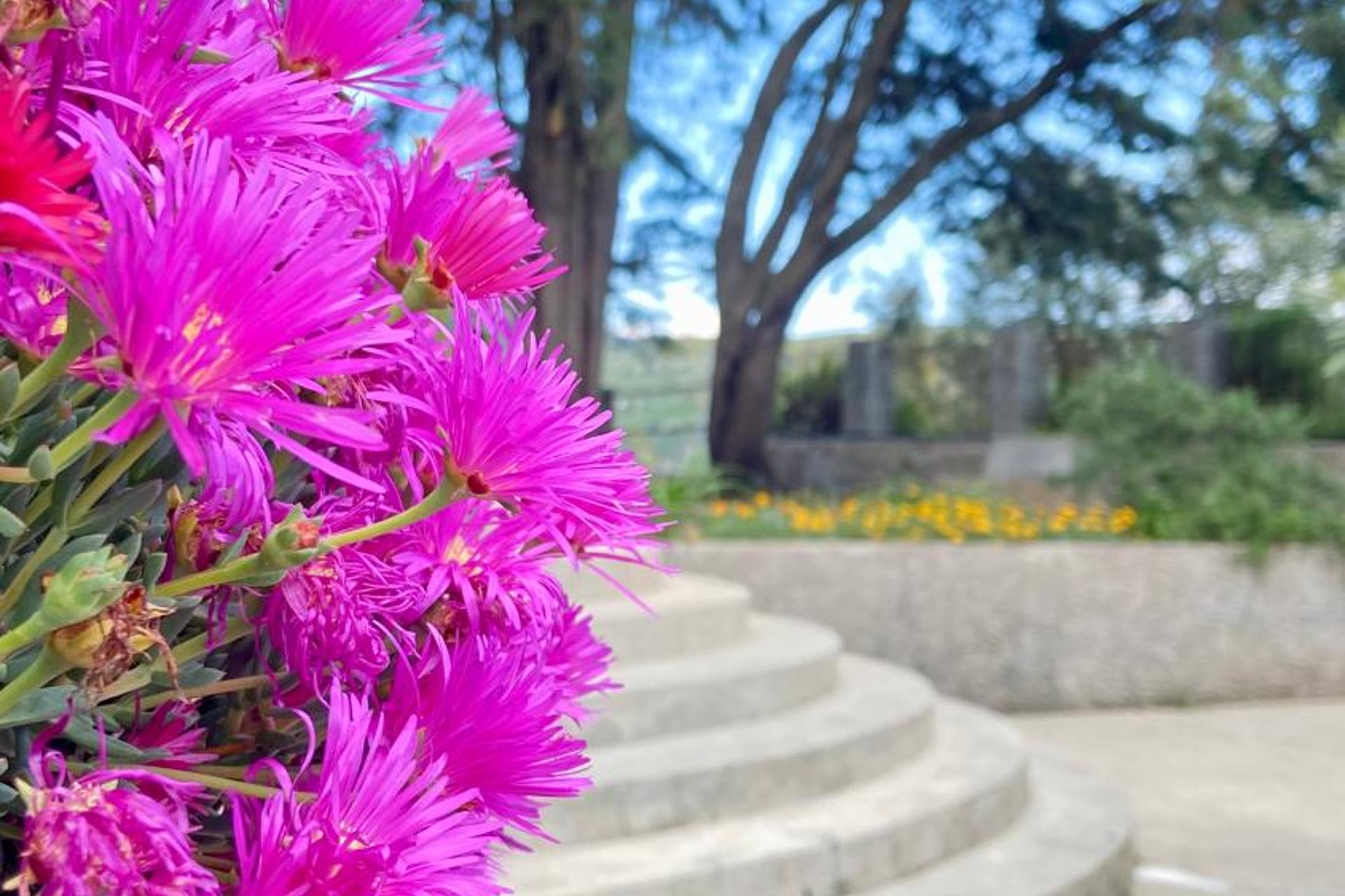 Descubra a Private Douro - Quinta das Susandas: O Refúgio Perfeito para Todos - Imagem 50