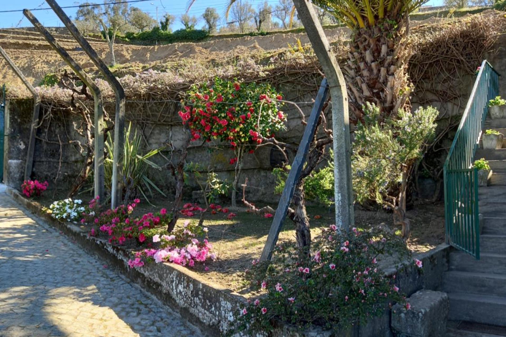 Descubra a Quinta Casa Do Quintal: Uma Experiência Inesquecível - Imagem 18