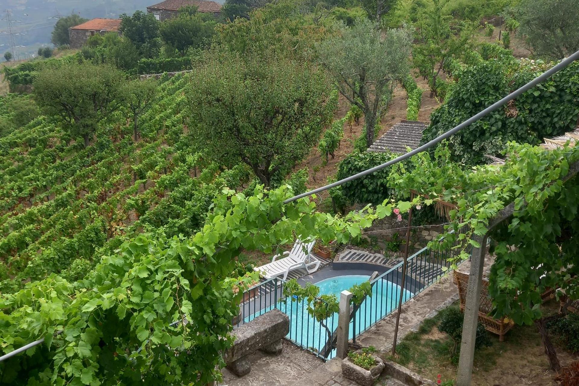 Descubra a Quinta Casa Do Quintal: Uma Experiência Inesquecível - Imagem 21