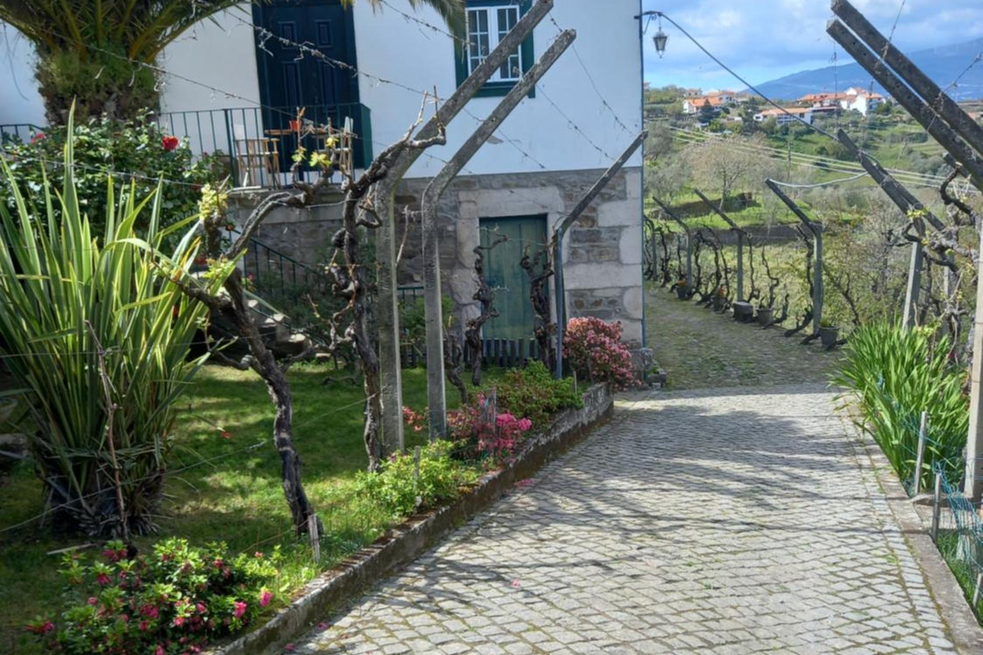 Descubra a Quinta Casa Do Quintal: Uma Experiência Inesquecível - Imagem 23