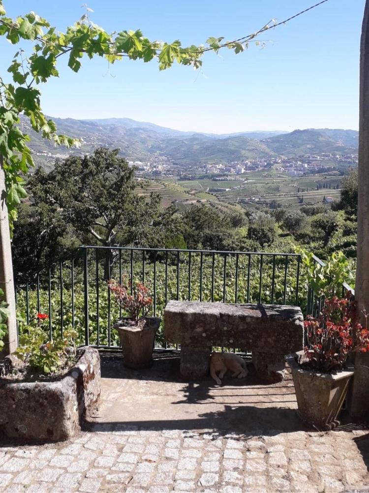 Descubra a Quinta Casa Do Quintal: Uma Experiência Inesquecível - Imagem 26