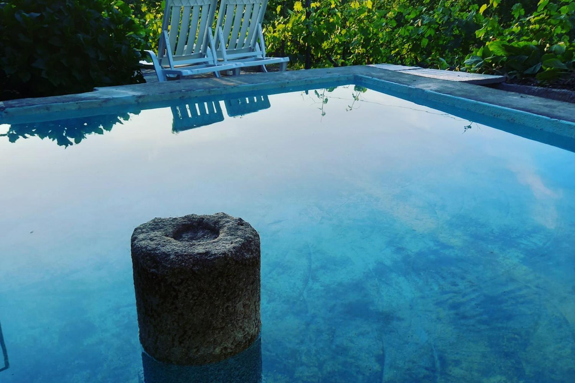 Descubra a Quinta Casa Do Quintal: Uma Experiência Inesquecível - Imagem 4