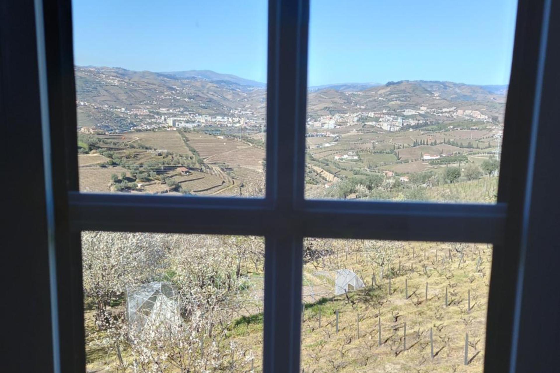 Descubra a Quinta Casa Do Quintal: Uma Experiência Inesquecível - Imagem 47