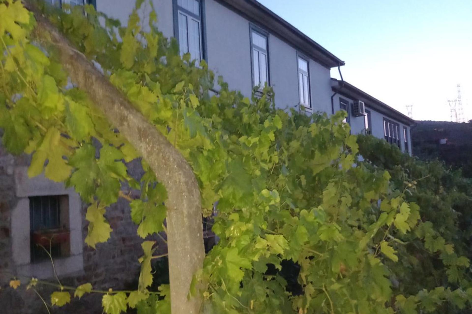 Descubra a Quinta Casa Do Quintal: Uma Experiência Inesquecível - Imagem 51