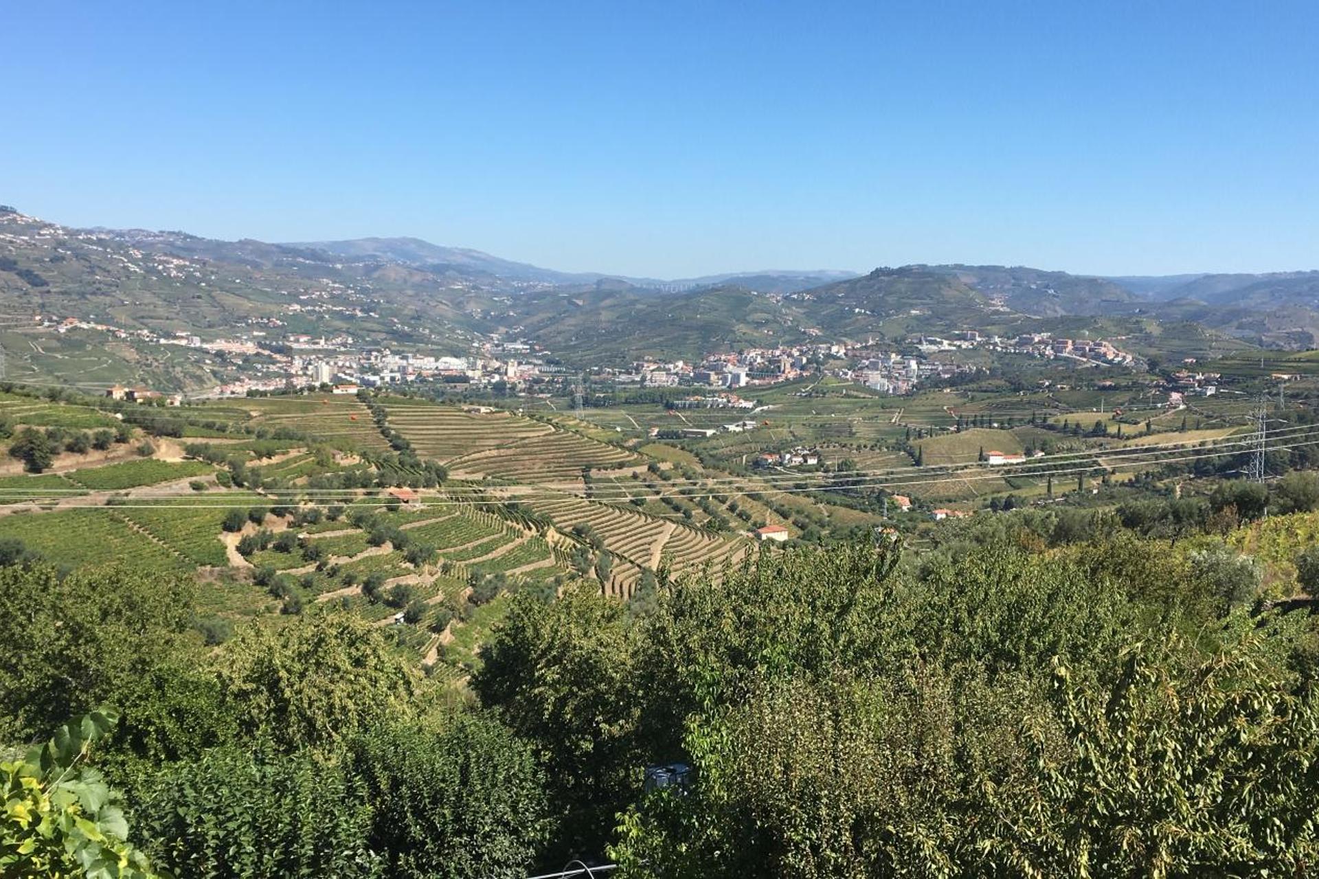 Descubra a Quinta Casa Do Quintal: Uma Experiência Inesquecível - Imagem 70