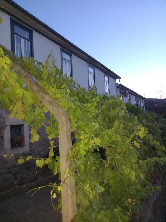 Descubra a Quinta Casa Do Quintal: Uma Experiência Inesquecível