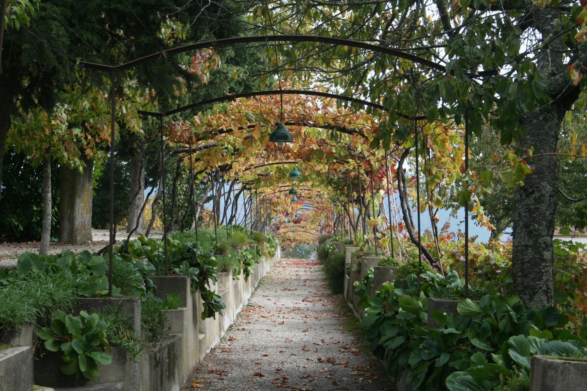 Descubra a Quinta da Cumieira: O Refúgio Ideal para Todos - Imagem 27