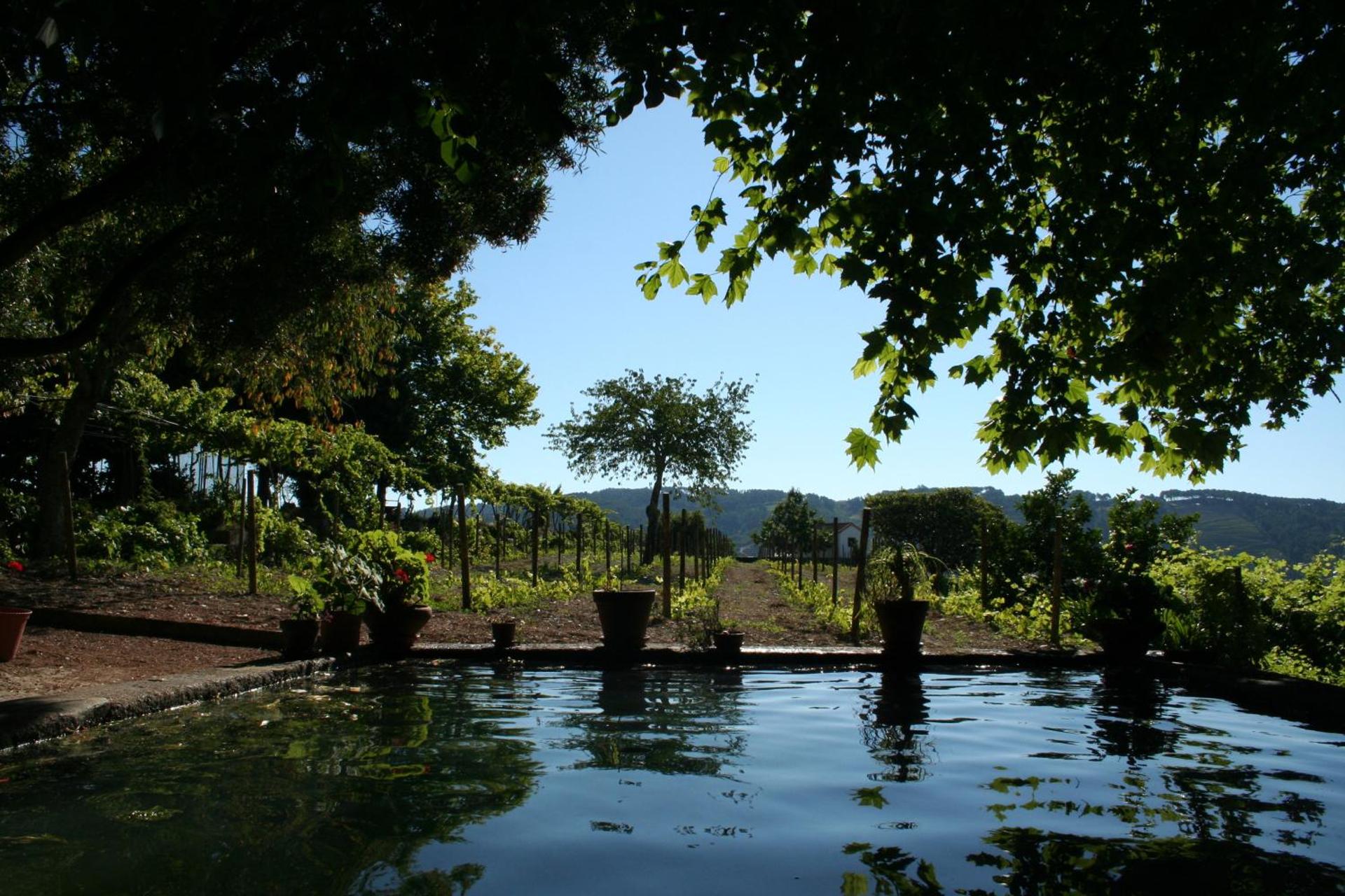 Descubra a Quinta da Cumieira: O Refúgio Ideal para Todos - Imagem 71