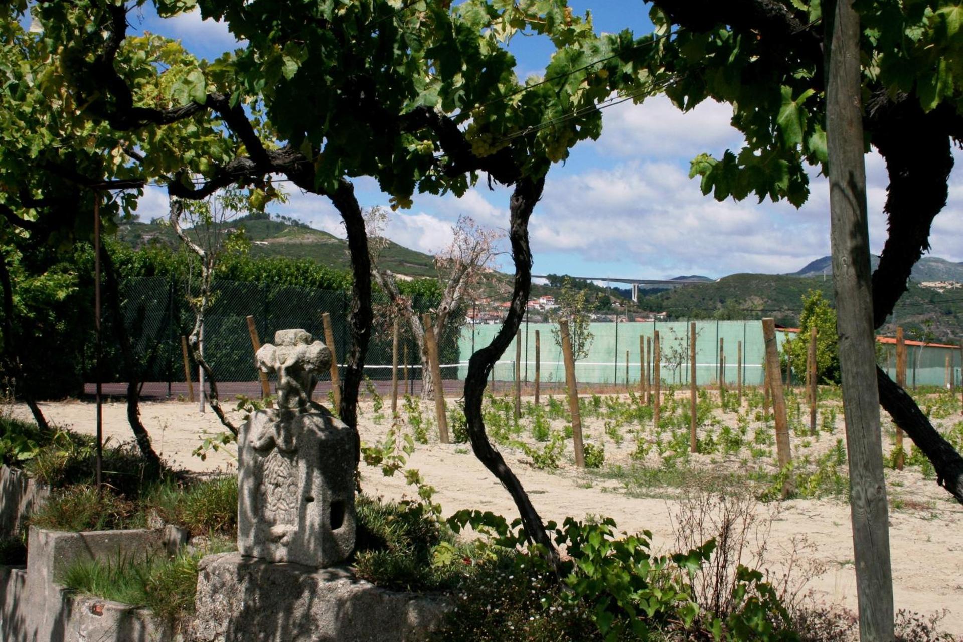 Descubra a Quinta da Cumieira: O Refúgio Ideal para Todos - Imagem 78