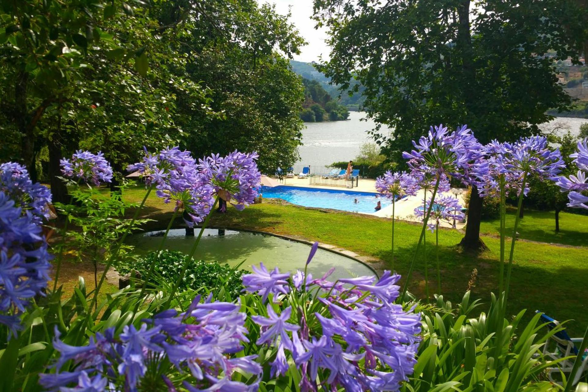 Descubra o Encanto da Quinta da Ermida - Turismo de Habitação - Imagem 2