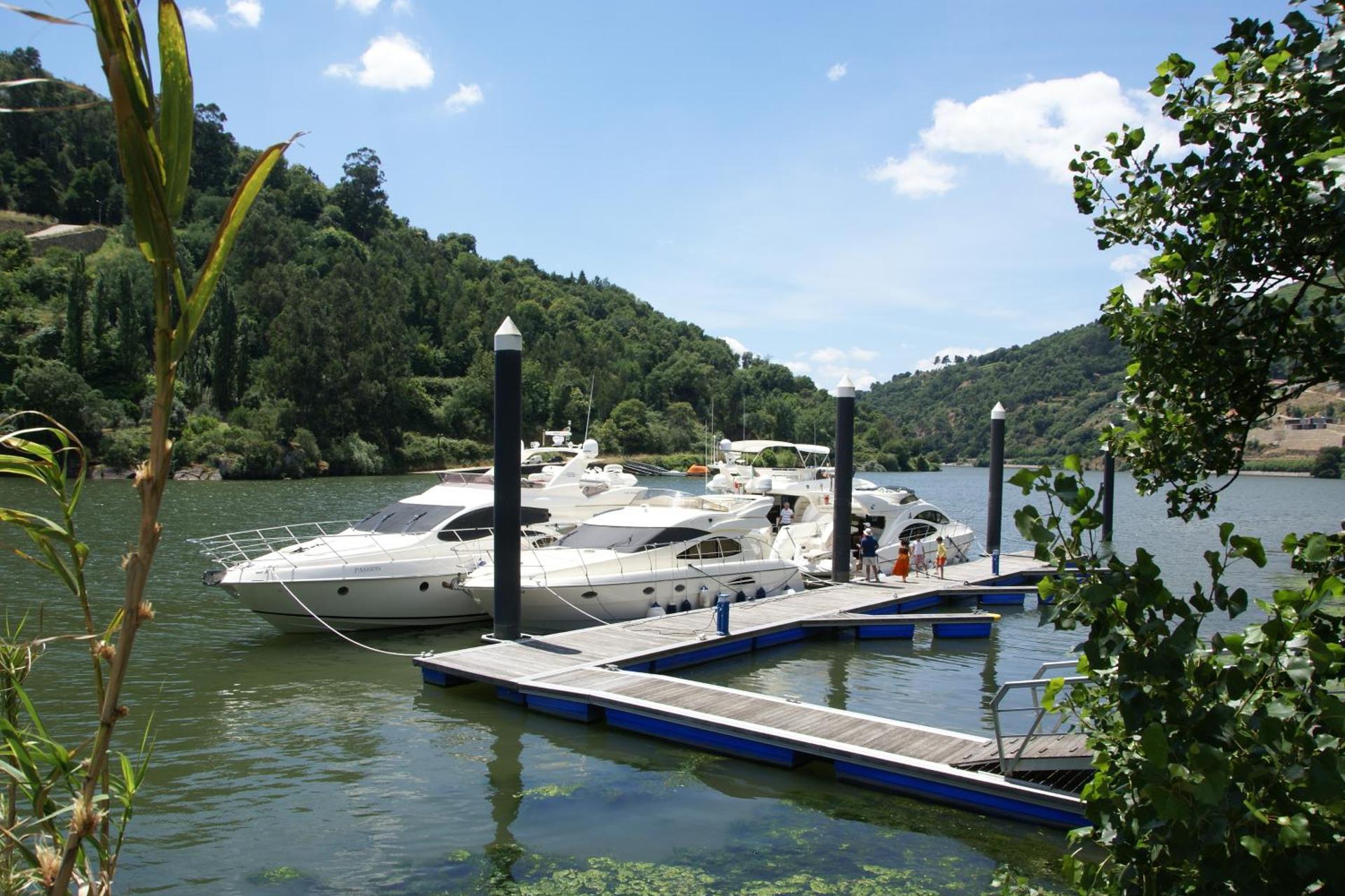 Descubra o Encanto da Quinta da Ermida - Turismo de Habitação - Imagem 30