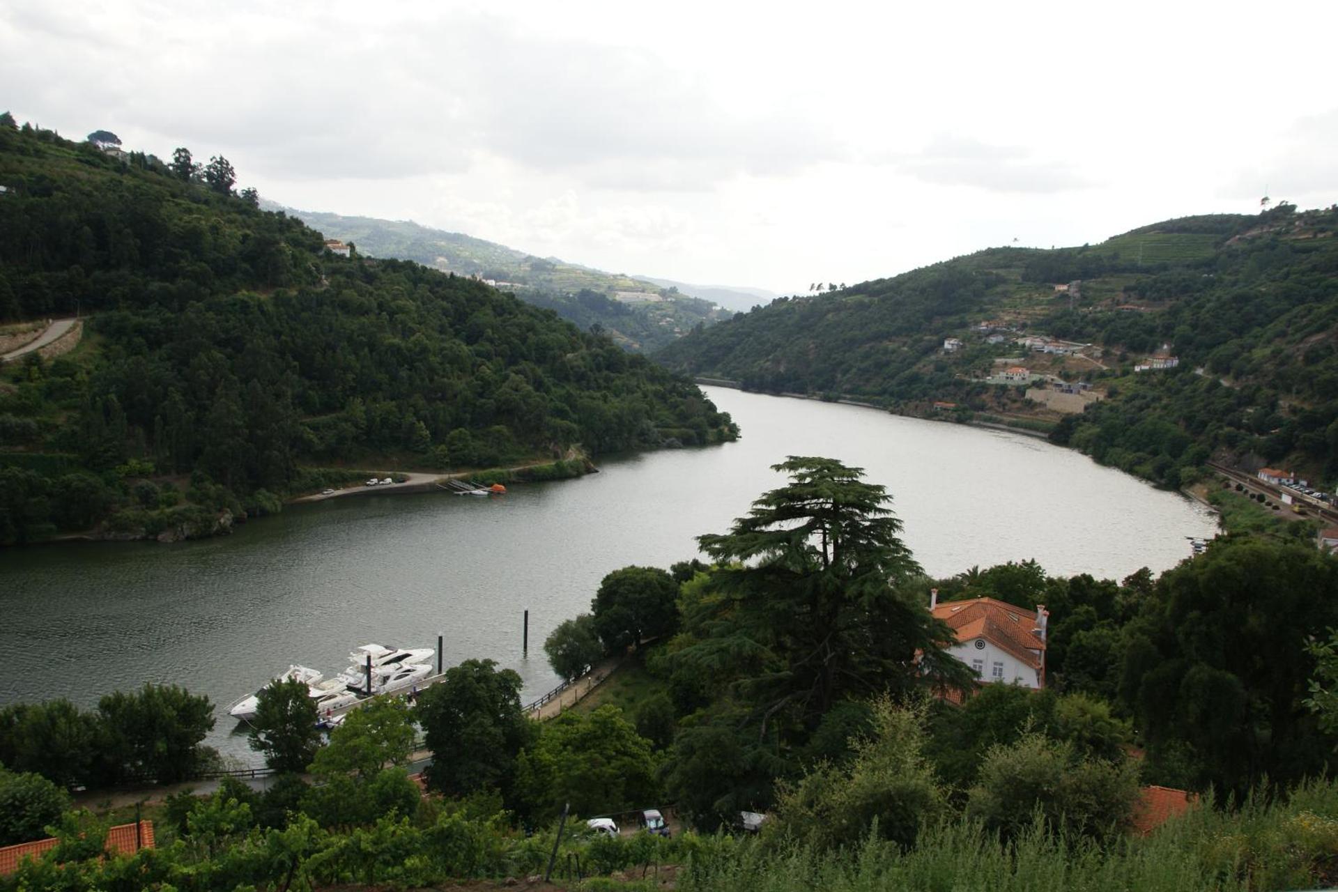 Descubra o Encanto da Quinta da Ermida - Turismo de Habitação - Imagem 49