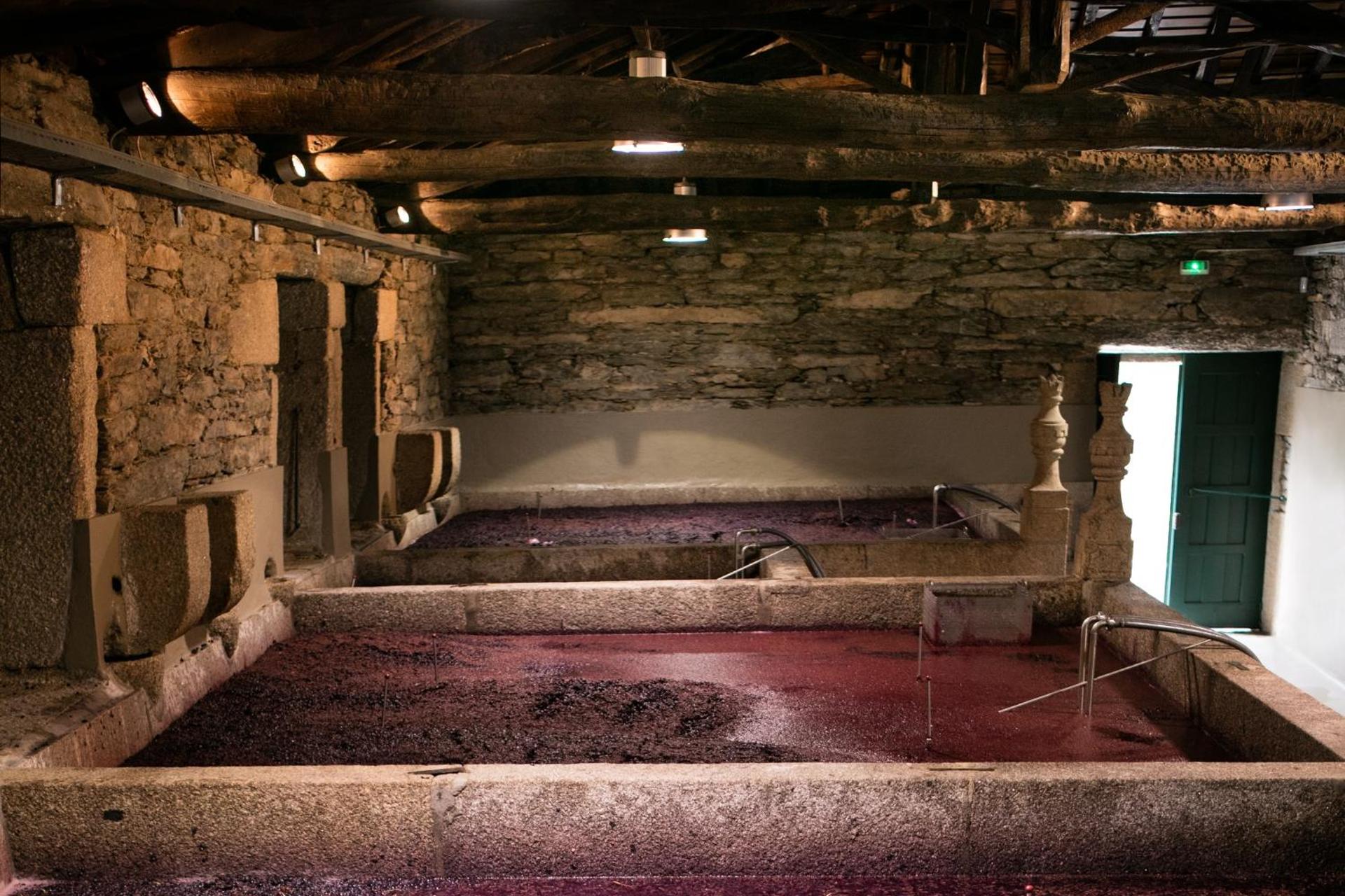 Descubra a Quintada da Gricha: O Refúgio Ideal para Todos - Imagem 18