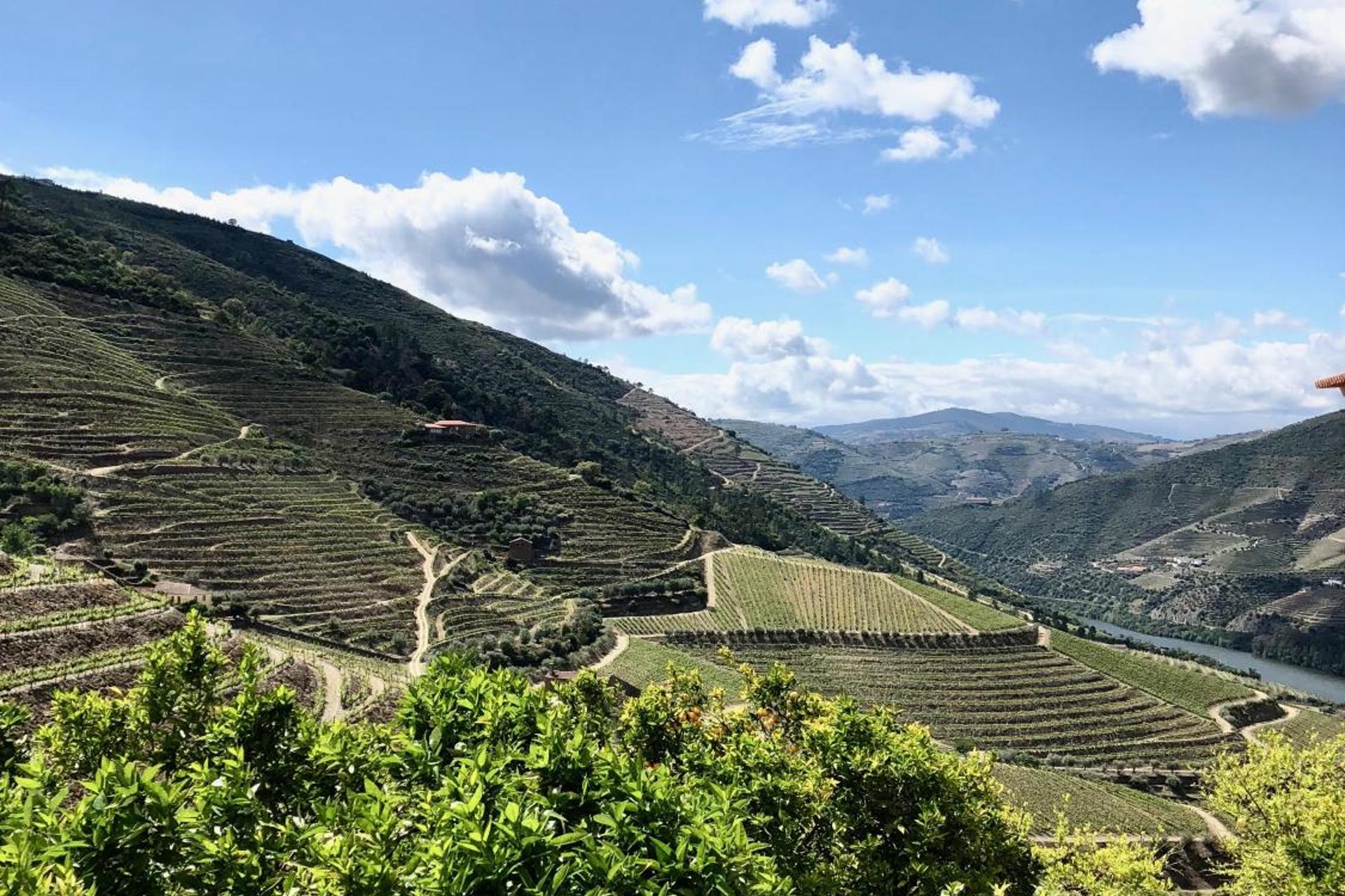 Descubra a Quintada da Gricha: O Refúgio Ideal para Todos - Imagem 32