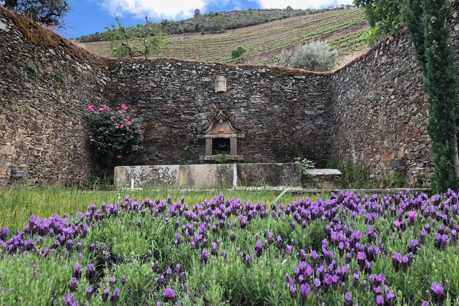Descubra a Quintada da Gricha: O Refúgio Ideal para Todos - Imagem 36