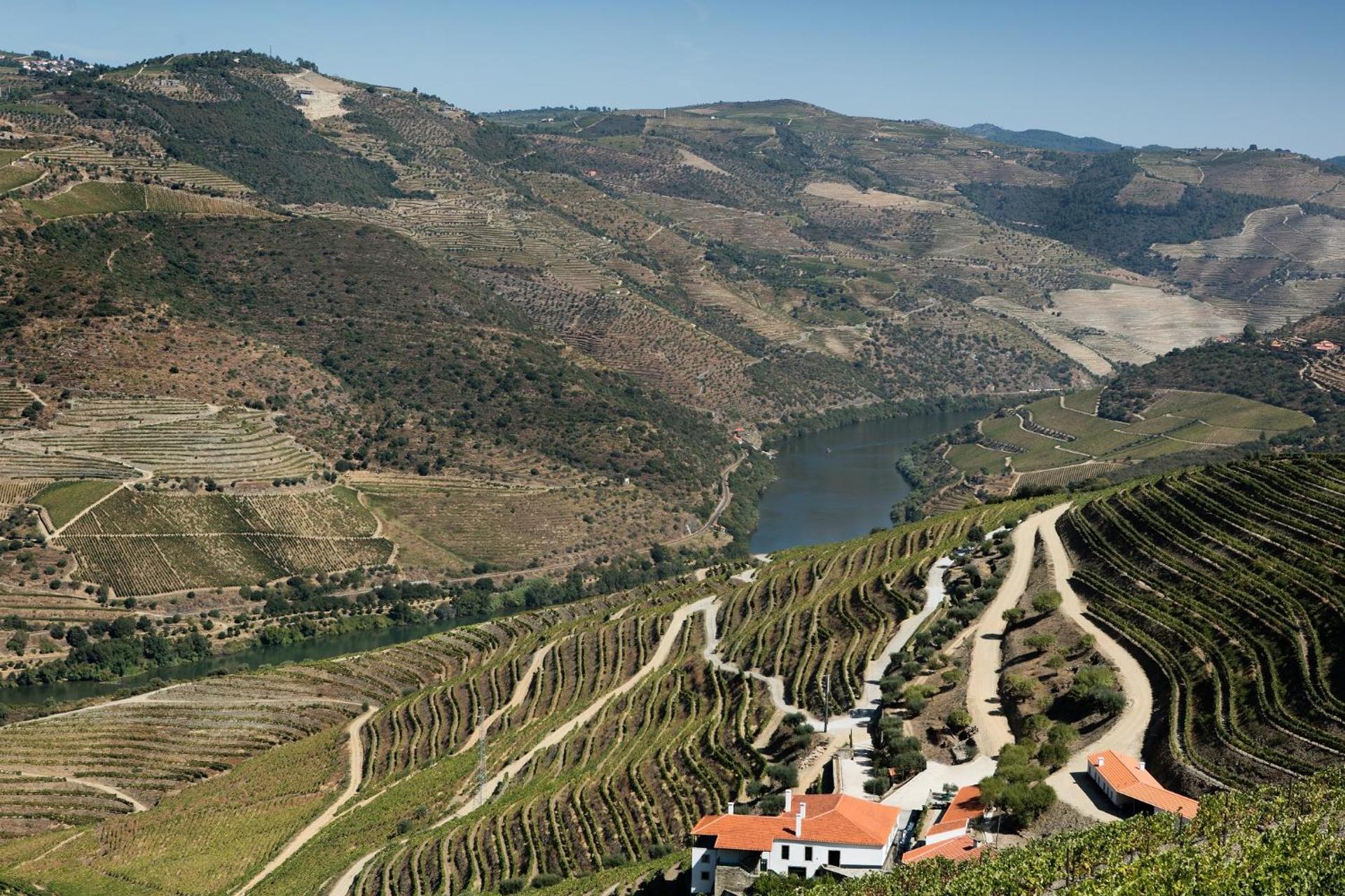 Descubra a Quintada da Gricha: O Refúgio Ideal para Todos - Imagem 38