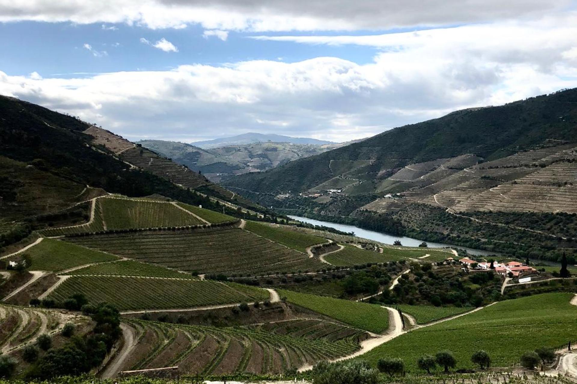 Descubra a Quintada da Gricha: O Refúgio Ideal para Todos - Imagem 43