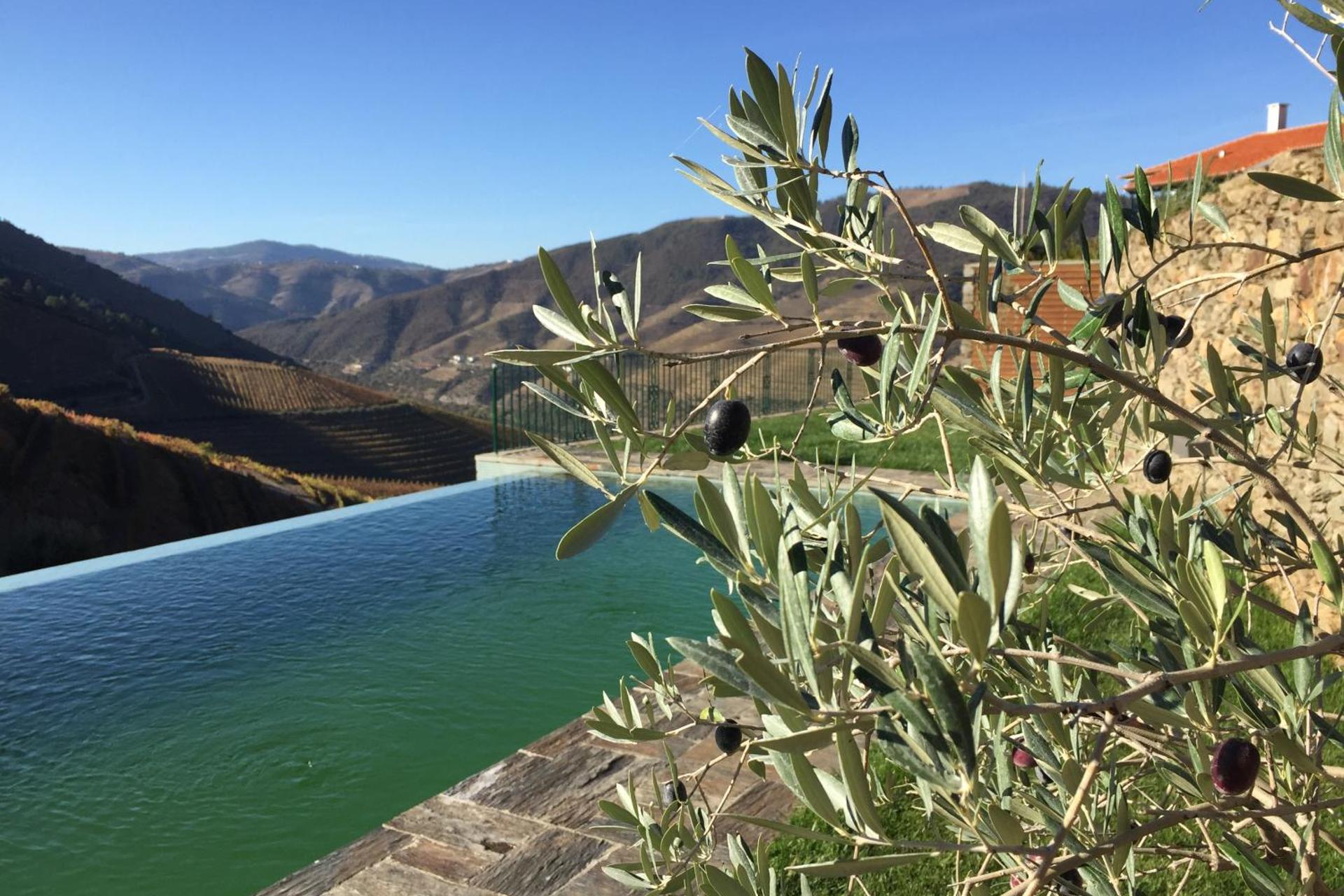 Descubra a Quintada da Gricha: O Refúgio Ideal para Todos - Imagem 68