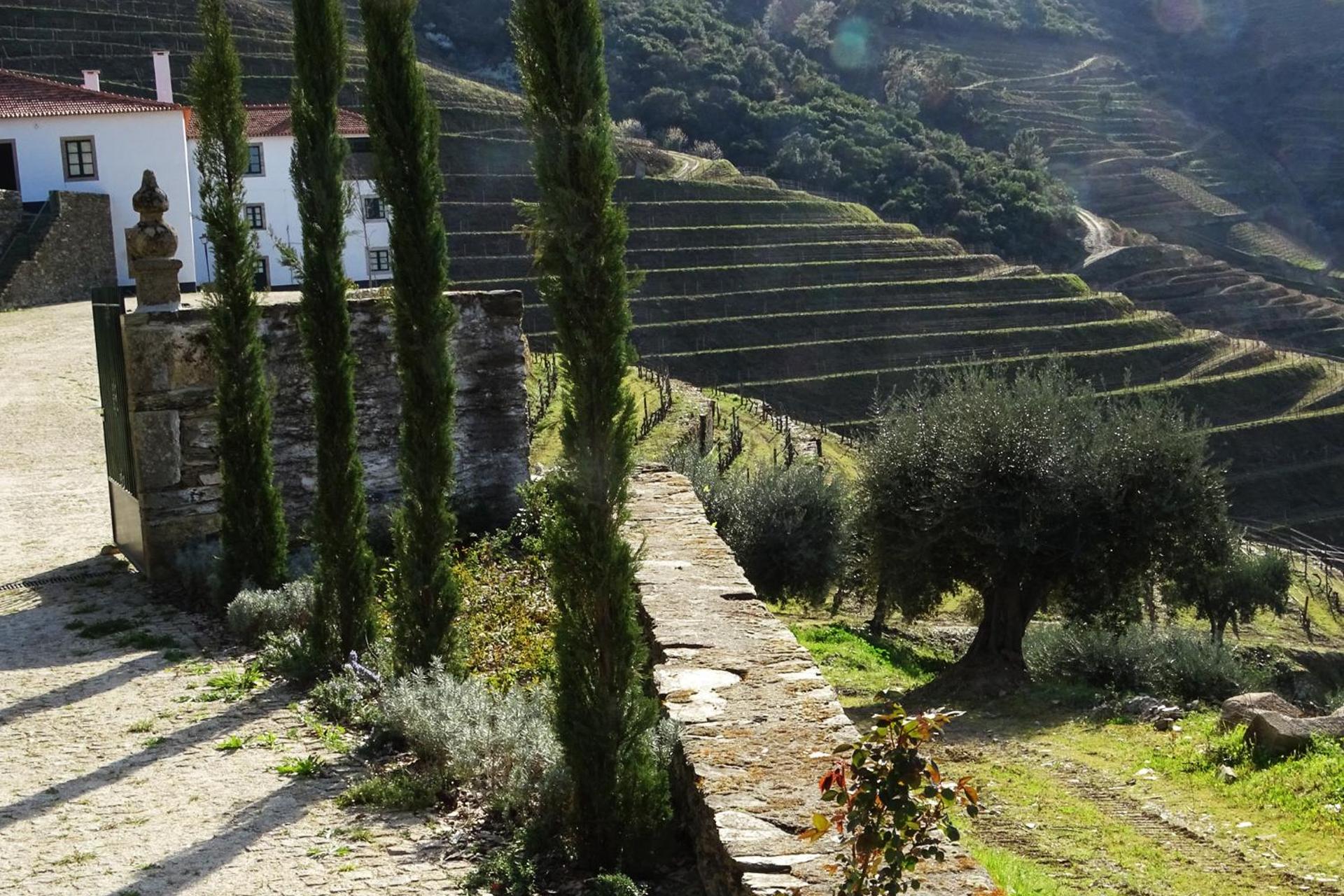 Descubra a Quintada da Gricha: O Refúgio Ideal para Todos - Imagem 82