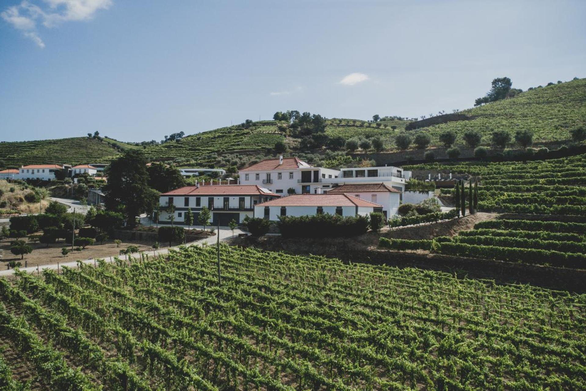 Descubra a Quintada da Gricha: O Refúgio Ideal para Todos - Imagem 100