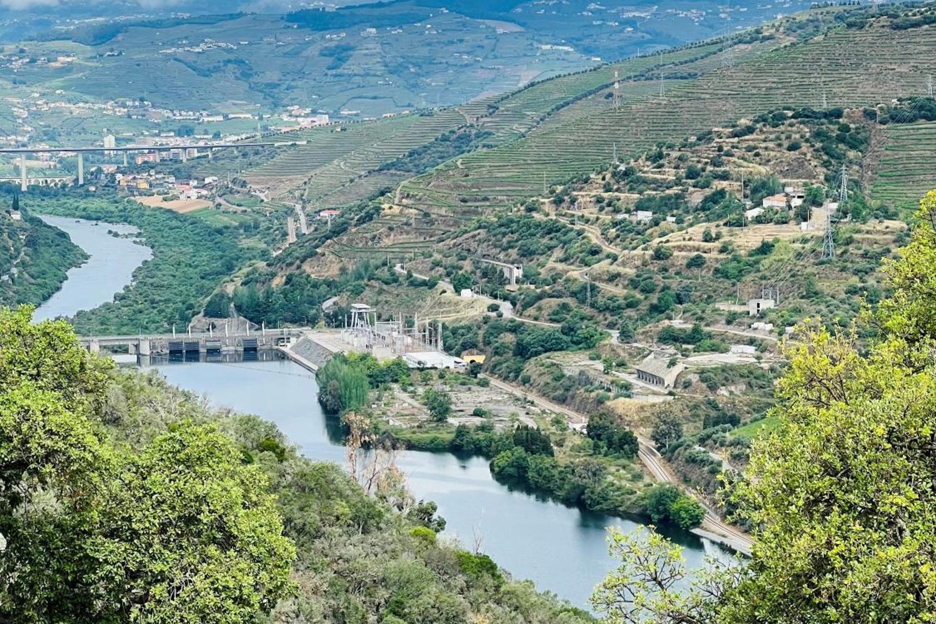 Descubra a Quinta da Pinguinha: O Refúgio Perfeito para Casais, Famílias e Viagens de Negócios - Imagem 11